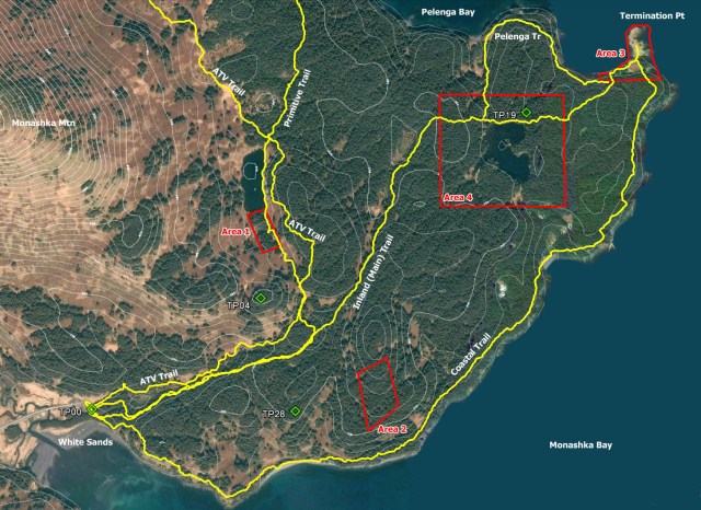 Term Pt Seals Course Print